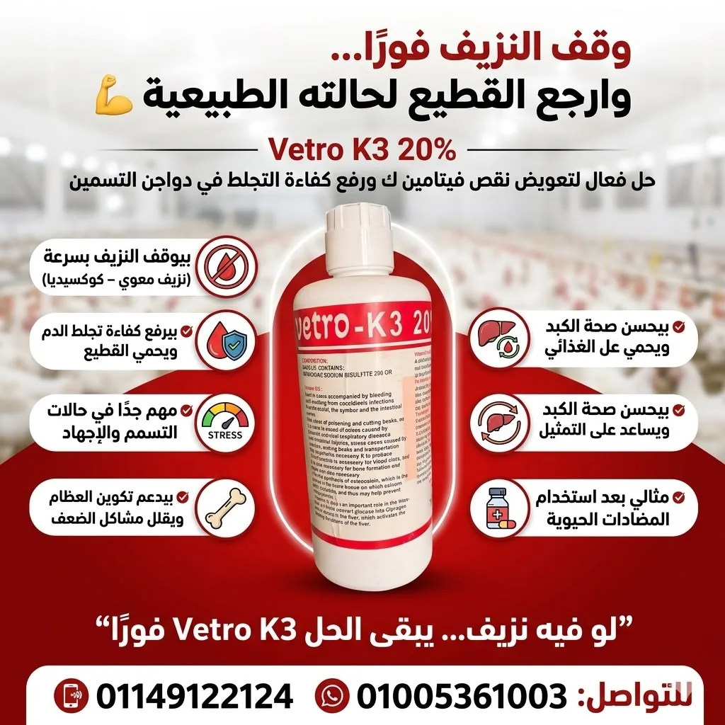 فيترو K3 20% Vetro K3 20% — وقف النزيف فوراً ورفع كفاءة التجلط في دواجن التسمين